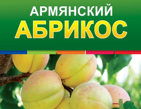 Armenian Apricot