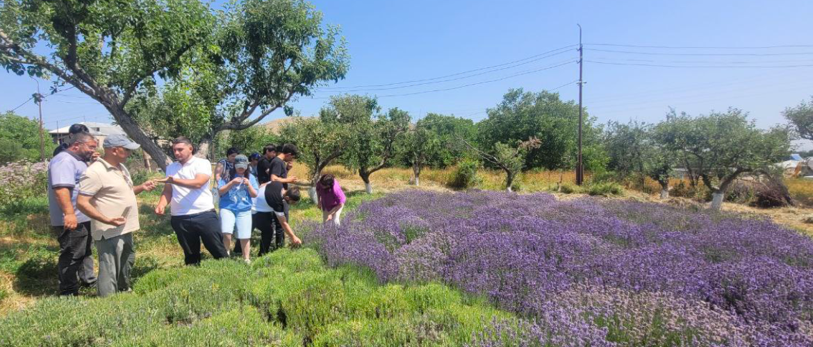Lernavan Youth in Aragyugh