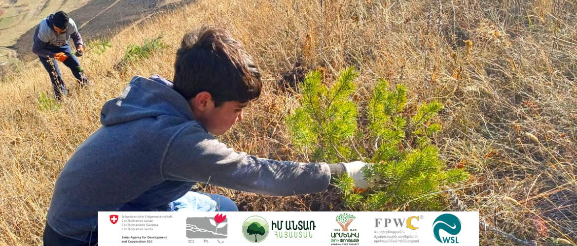 Establishment of Agroforest in Lernavan