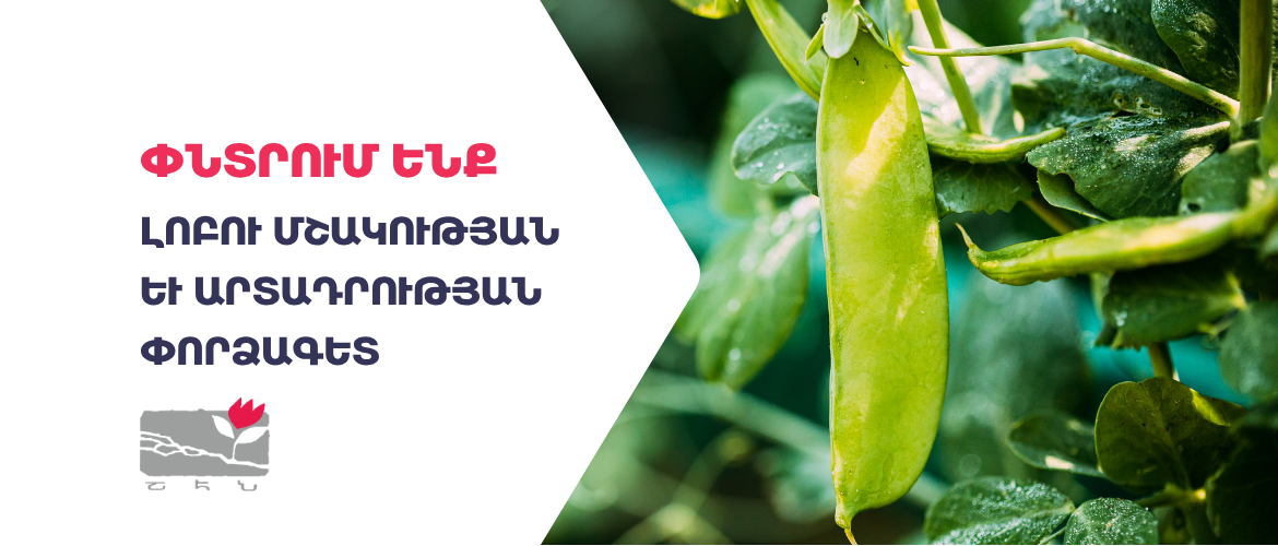 Լոբու մշակության և արտադրության փորձագետ