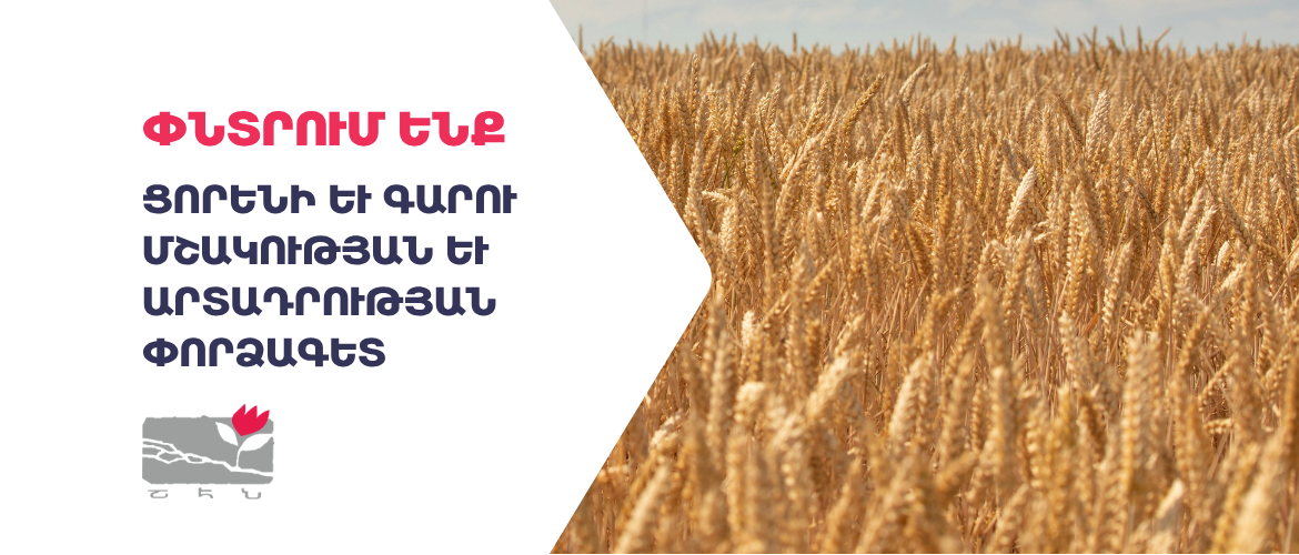 Ցորենի և գարու մշակության և արտադրության փորձագետ