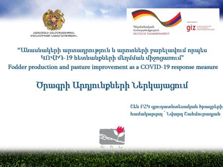 Project Results Presentation