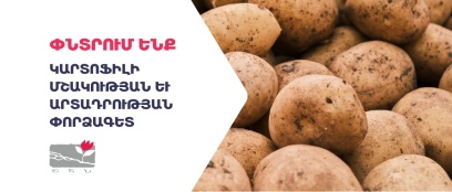 Կարտոֆիլի մշակության և արտադրության փորձագետ