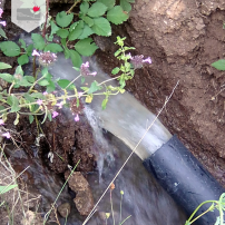Irrigation in Aygedzor