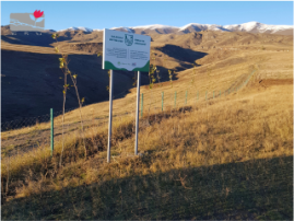 Shenavan Agroforestry