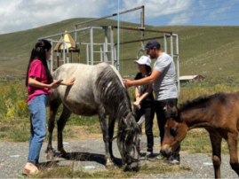 Yeghnajur Summer Camp 2025