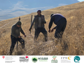 Establishment of Agroforest in Lernavan