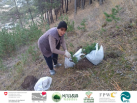 Establishment of Agroforest in Lernavan
