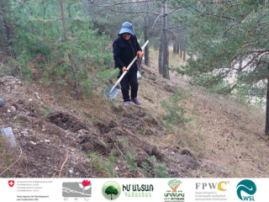 Establishment of Agroforest in Lernavan