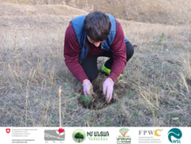 Establishment of Agroforest in Lernavan