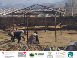 Establishment of Agroforest in Lernavan