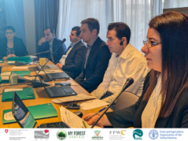 2nd Steering Committee