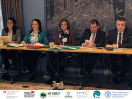 2nd Steering Committee