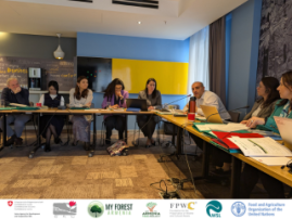 2nd Steering Committee