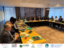 2nd Steering Committee