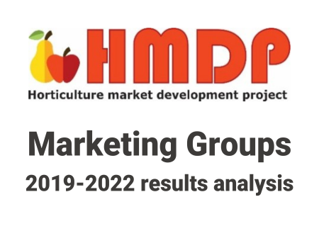 Marketing Groups 2019-2022 results analysis